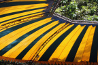 (Arsitektur) Yellow