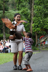 (Show) Burung - Bocah